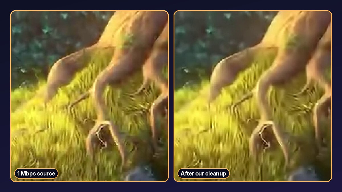 Zoomed crop of grass and roots from a 1 Mbps source next to the same crop after our cleanup